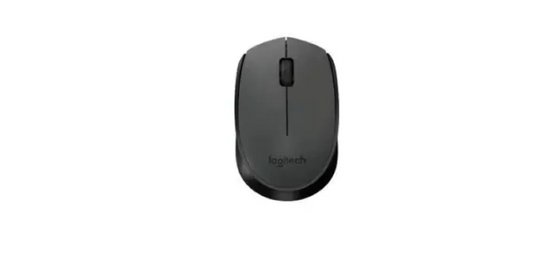 Mouse Logitech M170