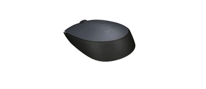 Mouse Logitech M170